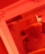 Hobbyhure Gabi-Geiles-Stueck Bild 1